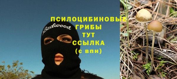 дурь Алексин