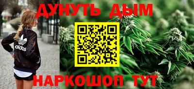 крисы Абакан