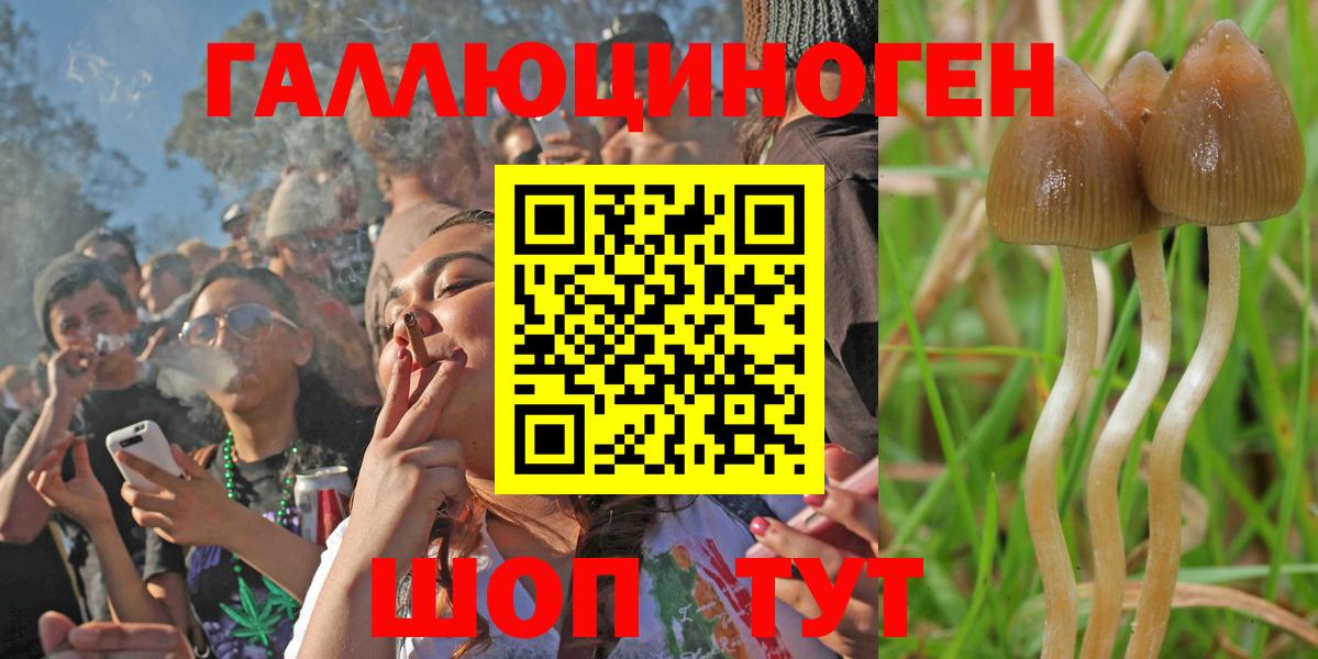 Галлюциногенные грибы мухоморы Миасс
