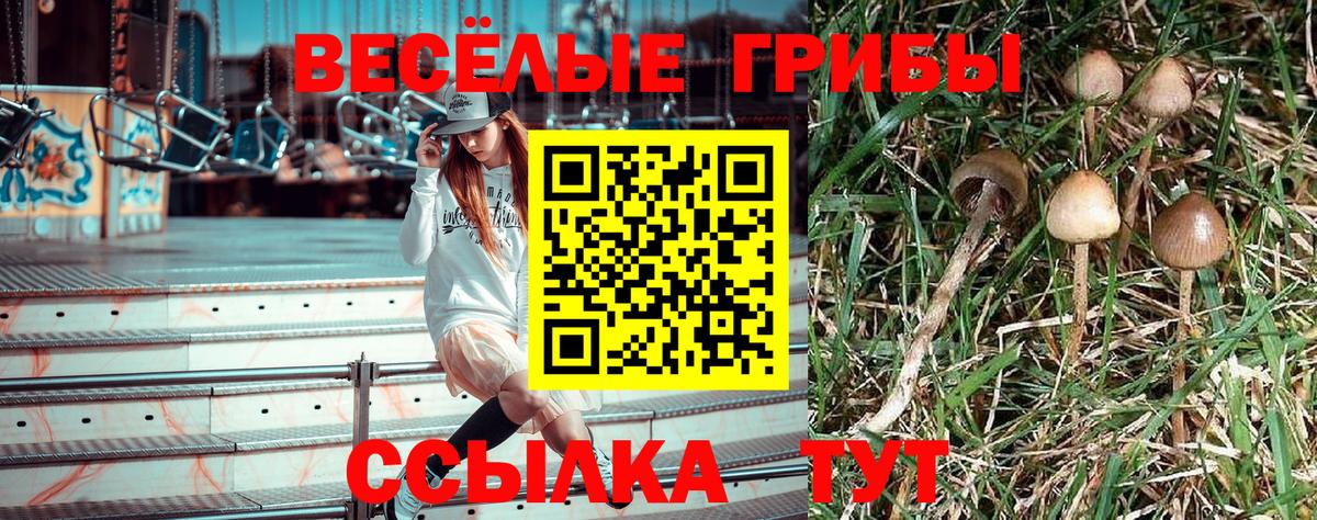 Галлюциногенные грибы прущие грибы  Псилоцибиновые грибы Cubensis  Миасс  Вход с VPN 
